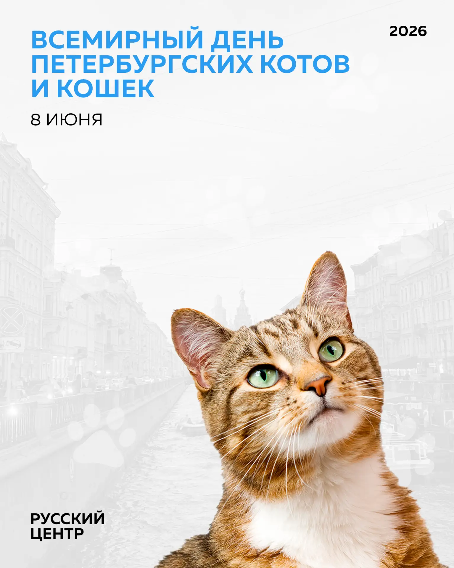 🐾 Коты, которые стали символом города

В Санкт-Петербурге у пушистых — особый статус. Это не просто