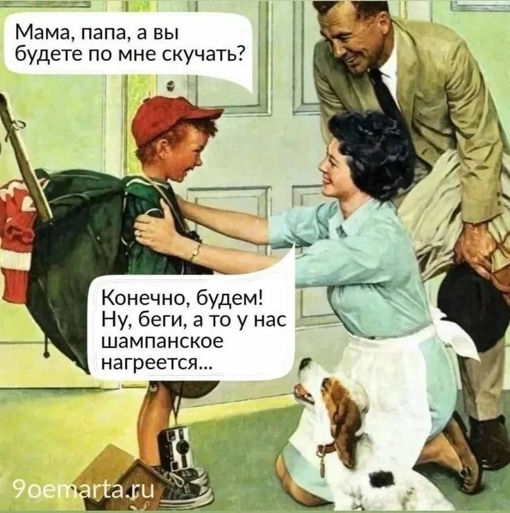 Мемный пикник ☀️
