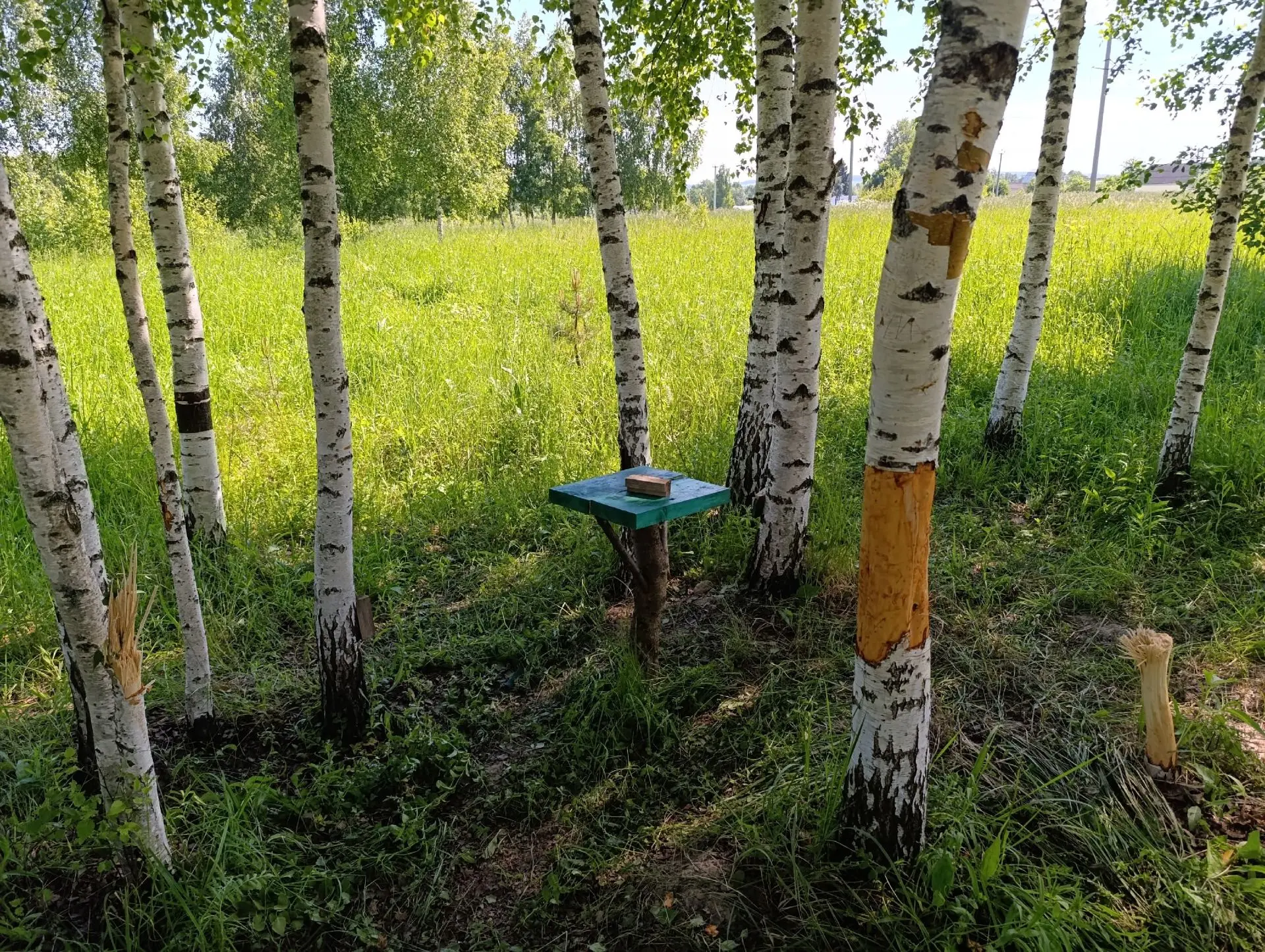 Хочется жить жизнь спокойно, без лишних встрясок....
НО!.....
Сосед решил сделать доброе дело: в пол