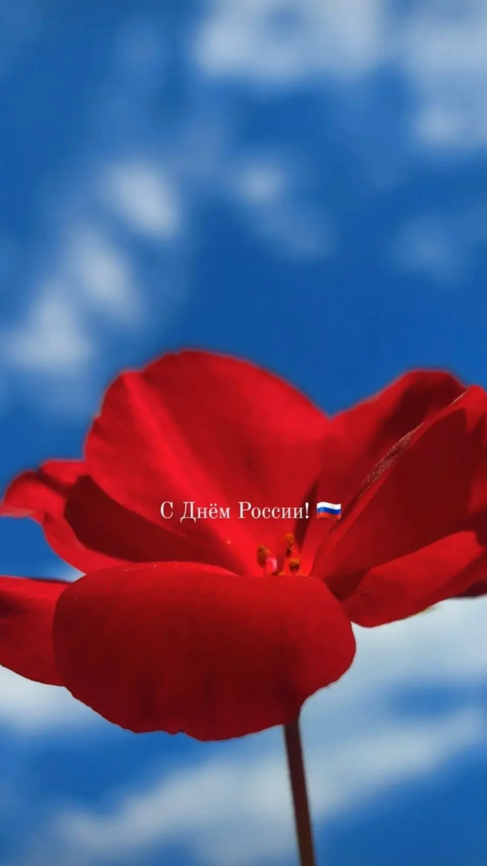 С праздником девочки ! 
С Днём России 🇷🇺