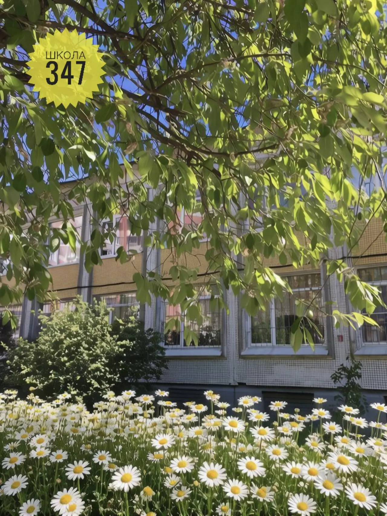 🌼 Сегодня, 8 июля, отмечается День семьи, любви и верности.

🌼 Поздравляем все семьи нашей школы с