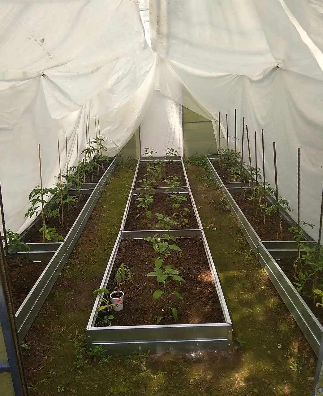 🌱 Выбираем грядки для теплицы

Перед покупкой обязательно делаем замер теплицы внутри 📏

После это