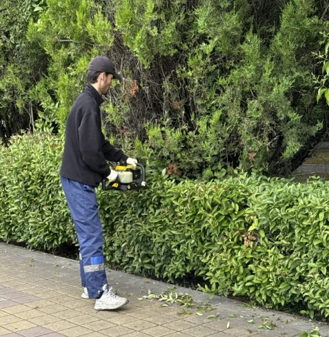 В Центральном районе ведутся работы по наведению санитарного порядка.

Специалисты выполняют формово