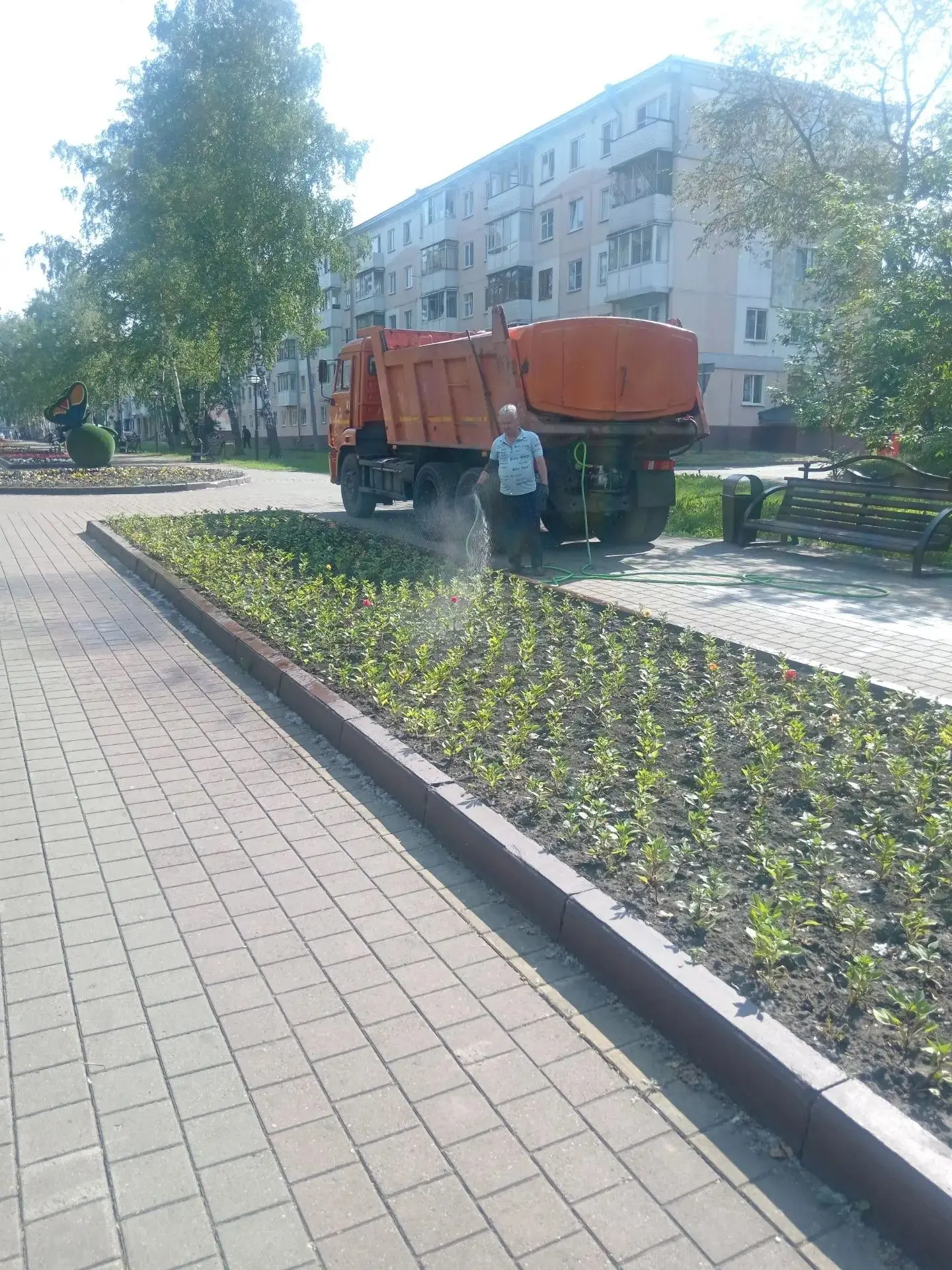 Посадка цветов на аллее Комсомольского бульвара.