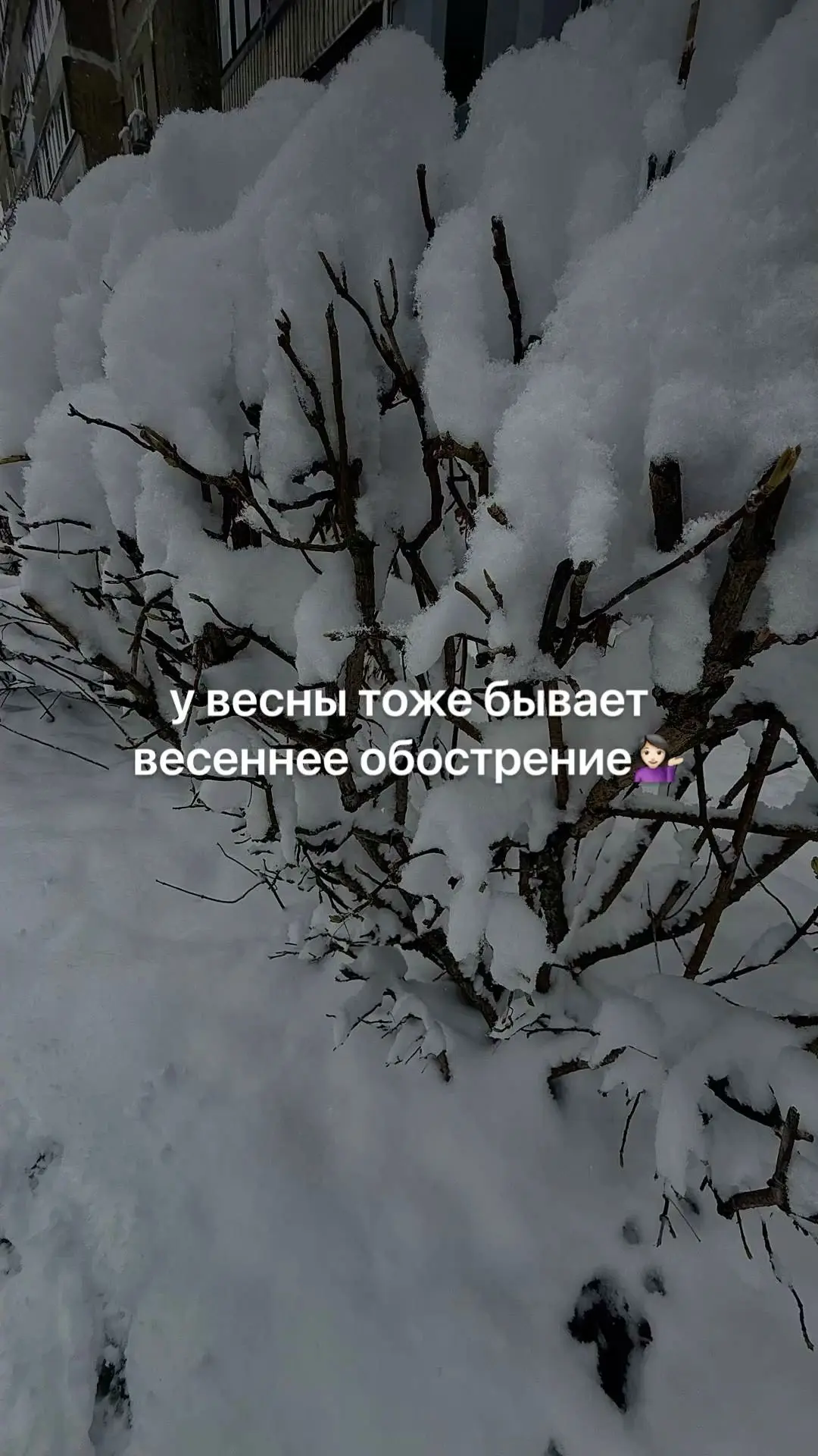 Плохая примета — убирать летние вещи раньше июня🤦‍♀

Кто ж знал, что она сработает как бумеранг, да