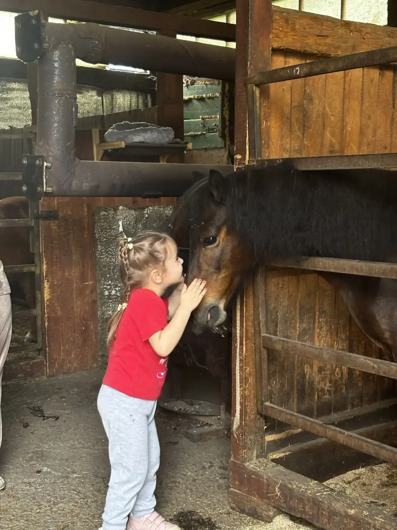 От наших лошадок в восторге даже самые маленькие детки ❤️🐴