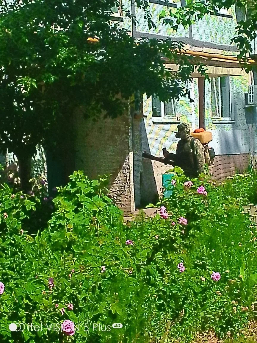 Произведена дезинсекция подвальных помещений и территории по адресам: ул. Пугачевский тр., д. 31, 63