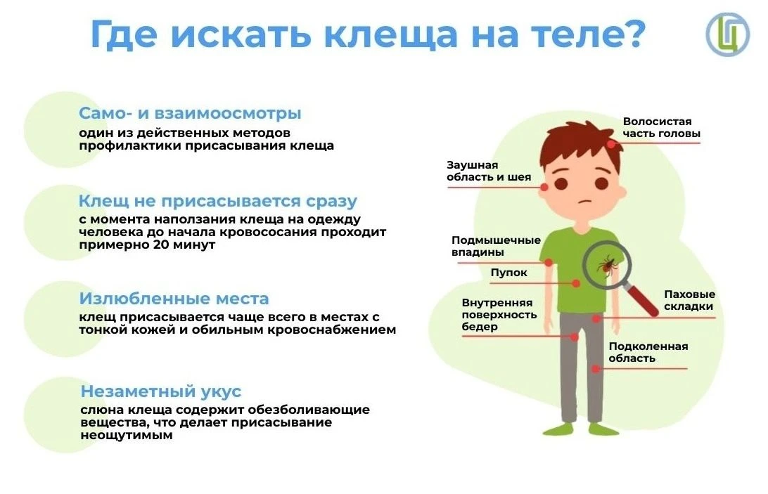 Весна на природе — без укусов и волнений
С 27 апреля по 10 мая специалисты Роспотребнадзора Томской 