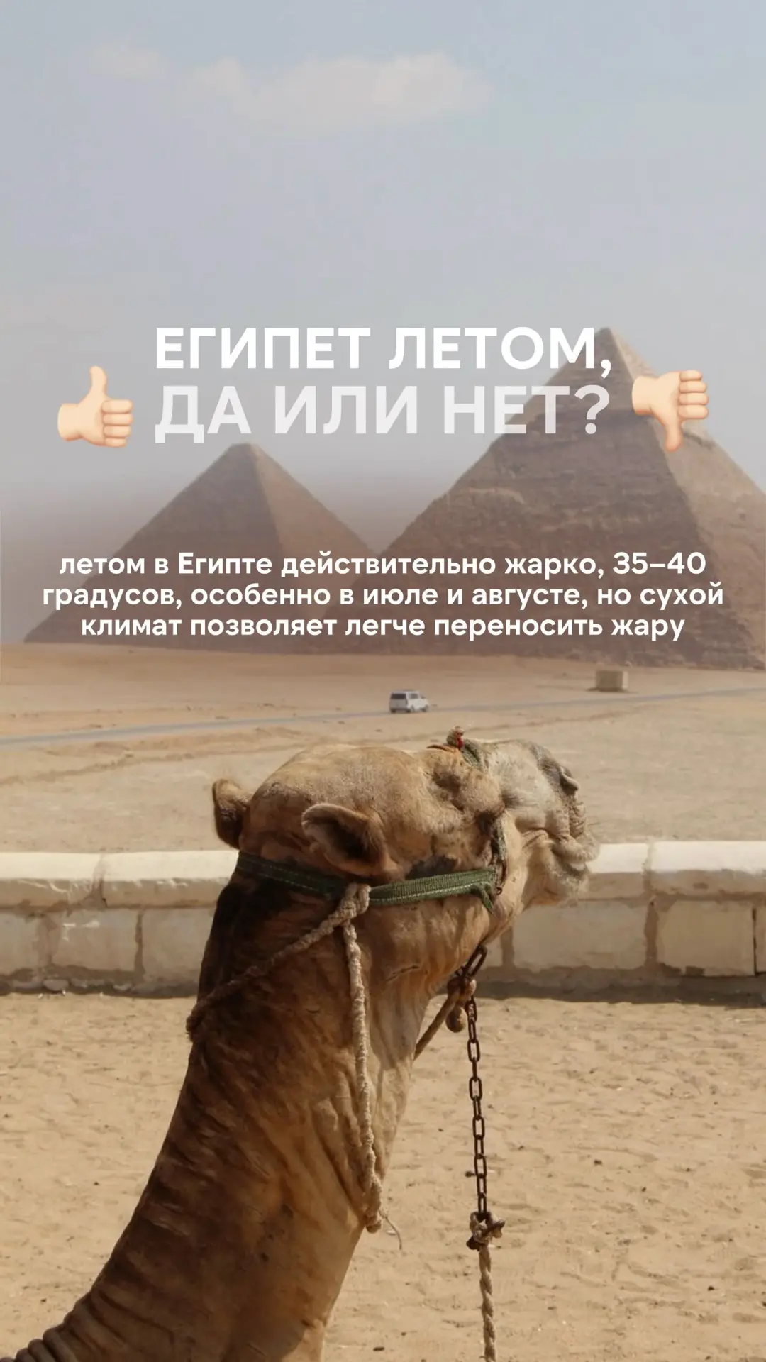 Египет летом, да или нет?
⠀
Летом в Египте действительно жарко, 35–40 градусов, особенно в июле и ав