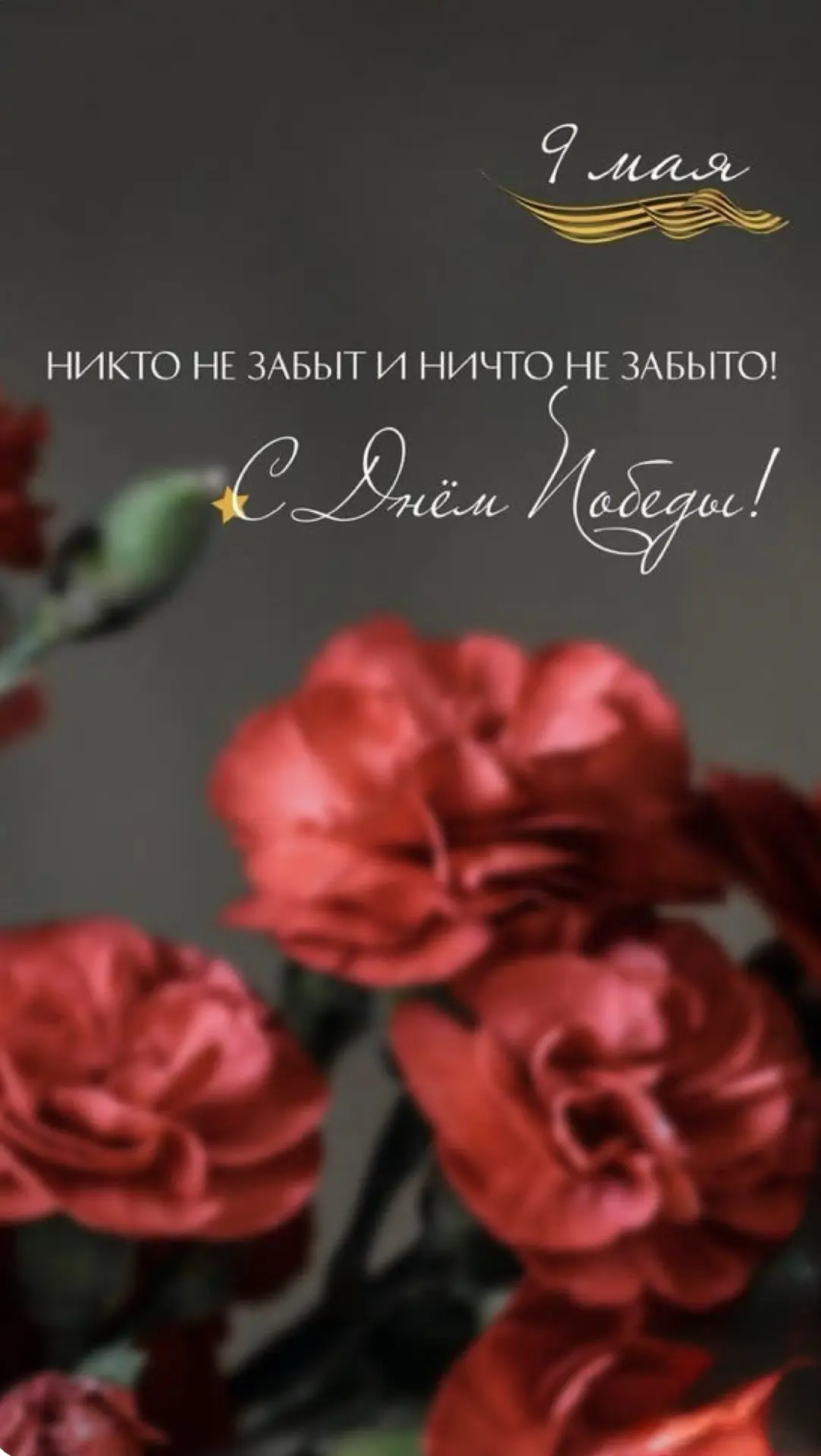 🕊️🇷🇺 С Днем Великой Победы! Пусть в каждой семье звучат истории героев, пусть подрастающее поколе