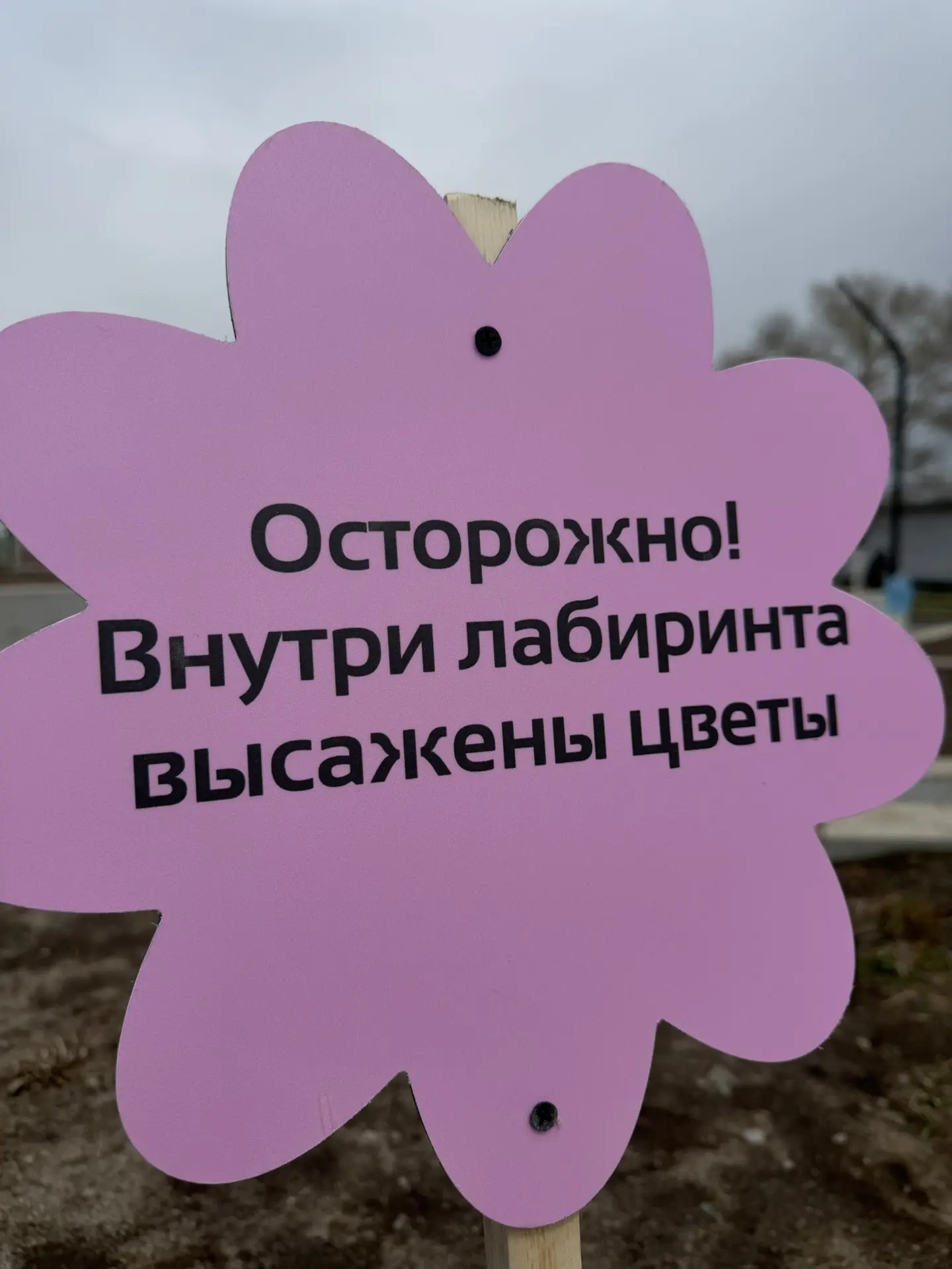 Цветочки и собачки с важным напоминанием 🌸🐶

Вот такие «собачки» и «цветочки» поселились на наших 