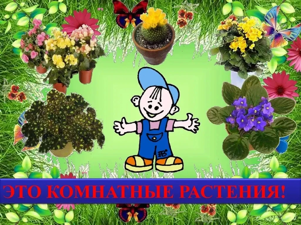 🤔Зачем нужны комнатные растения? 
🪴 Как выбрать для них правильный горшочек! 
Как правильно посади