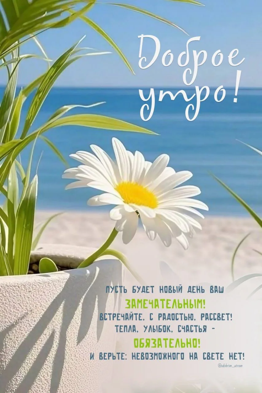Доброе утро, Жуковский!

24 июня, среда

Утром +18°C 🌥️ 
Днем +22°C 🌥️
Вечером +19° ☁️ 
Ночью +114