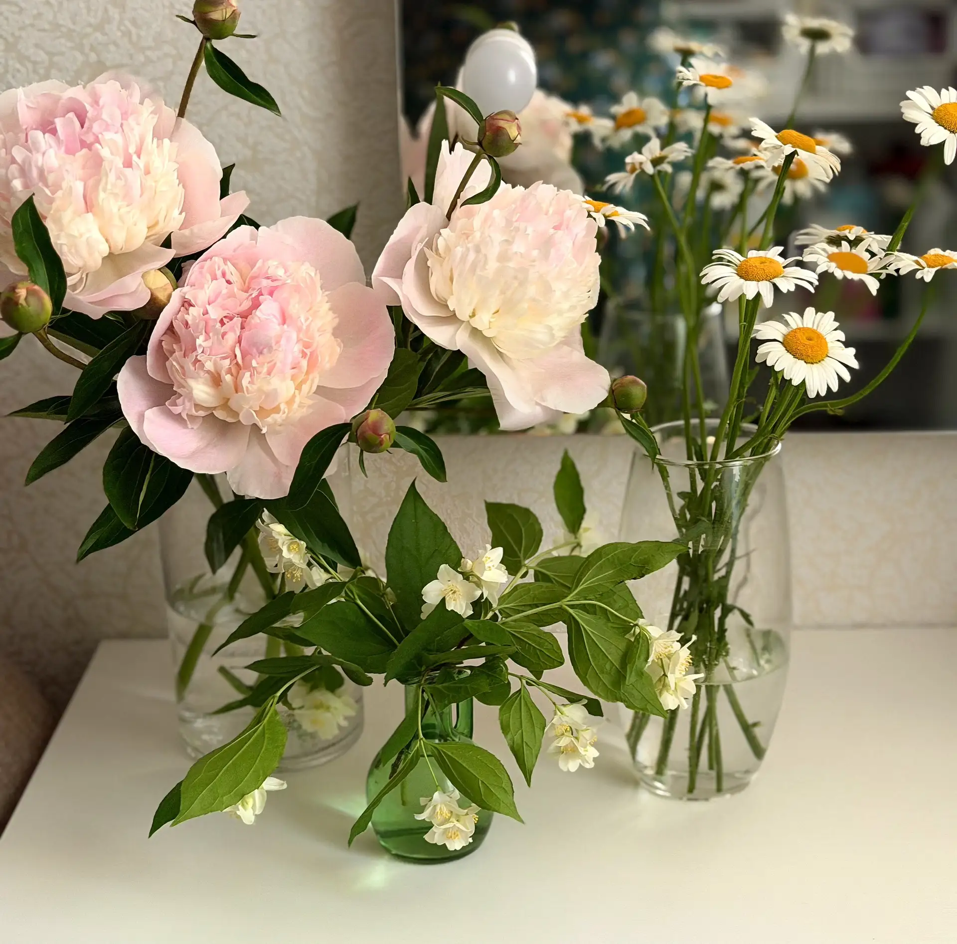 С началом новой недели! 
Пусть она принесёт много положительных эмоций 🥰

Цветы с дачи: пионы, рома