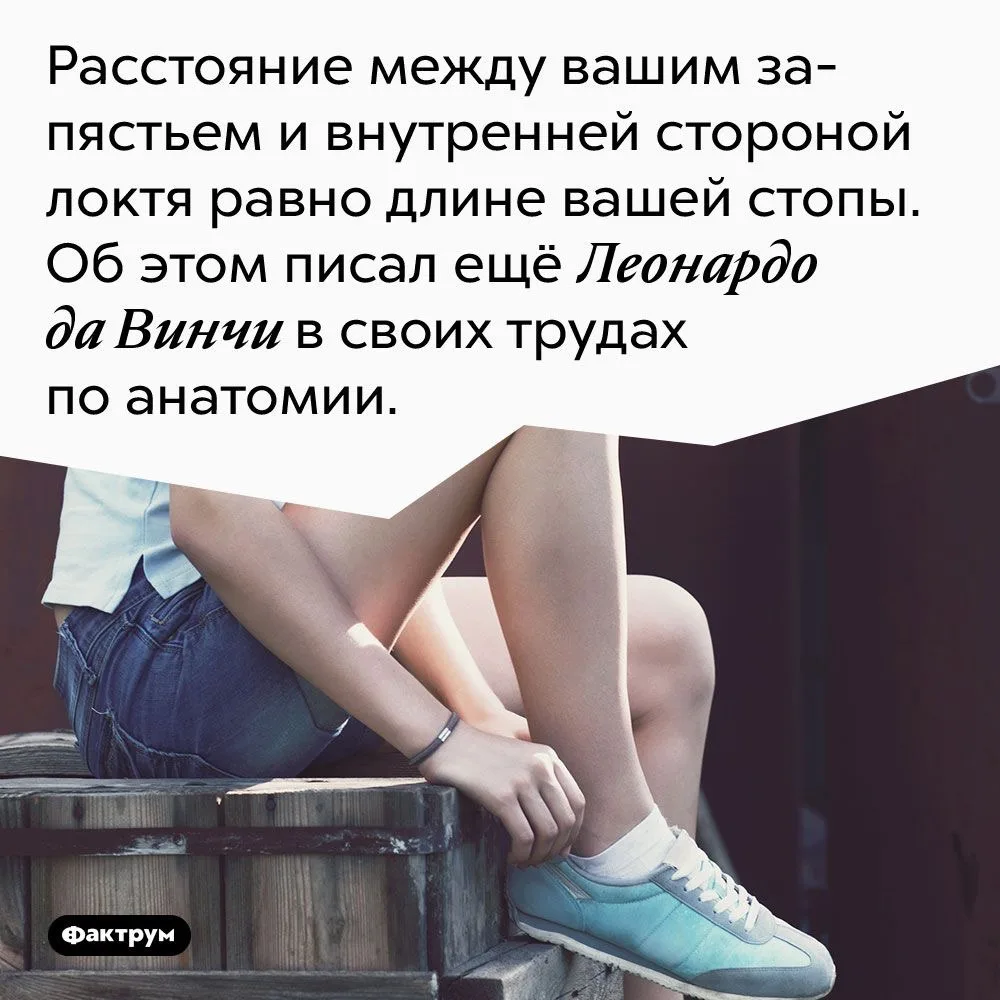 👍 — если знали этот факт
❤️ — если услышали его впервые

#факты@operinfokrasniy