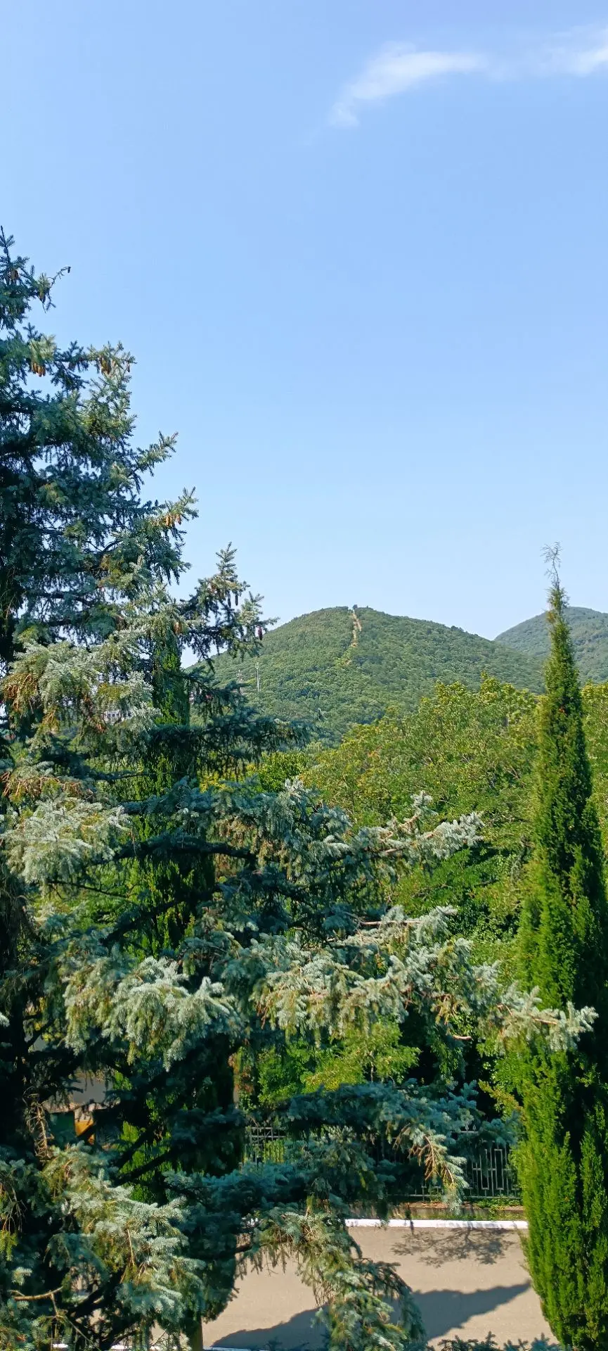 🌿 В тишине природы можно услышать ответы, которых не найдёшь в словах людей....


〰️〰️〰️〰️〰️〰️ 
Под
