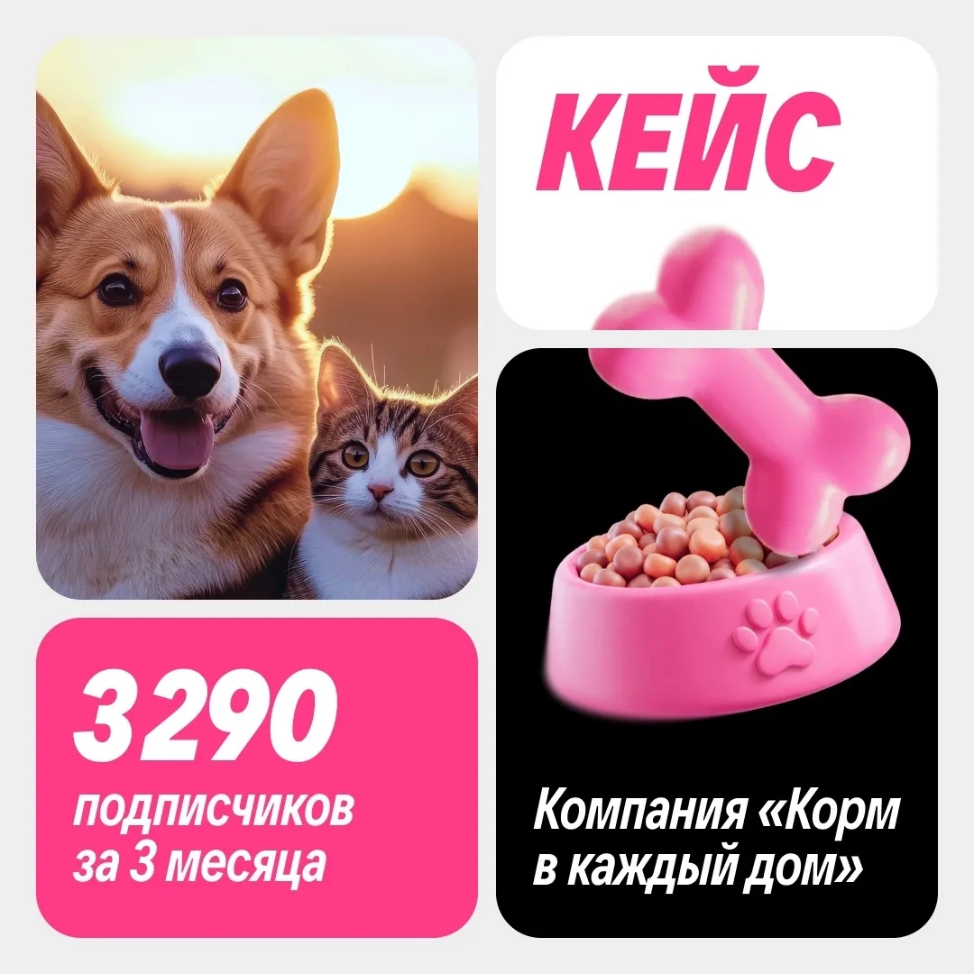 Рекламные креативы не сработали 😔 Что делать дальше?

Это случилось у компании «Корм в каждый дом»: