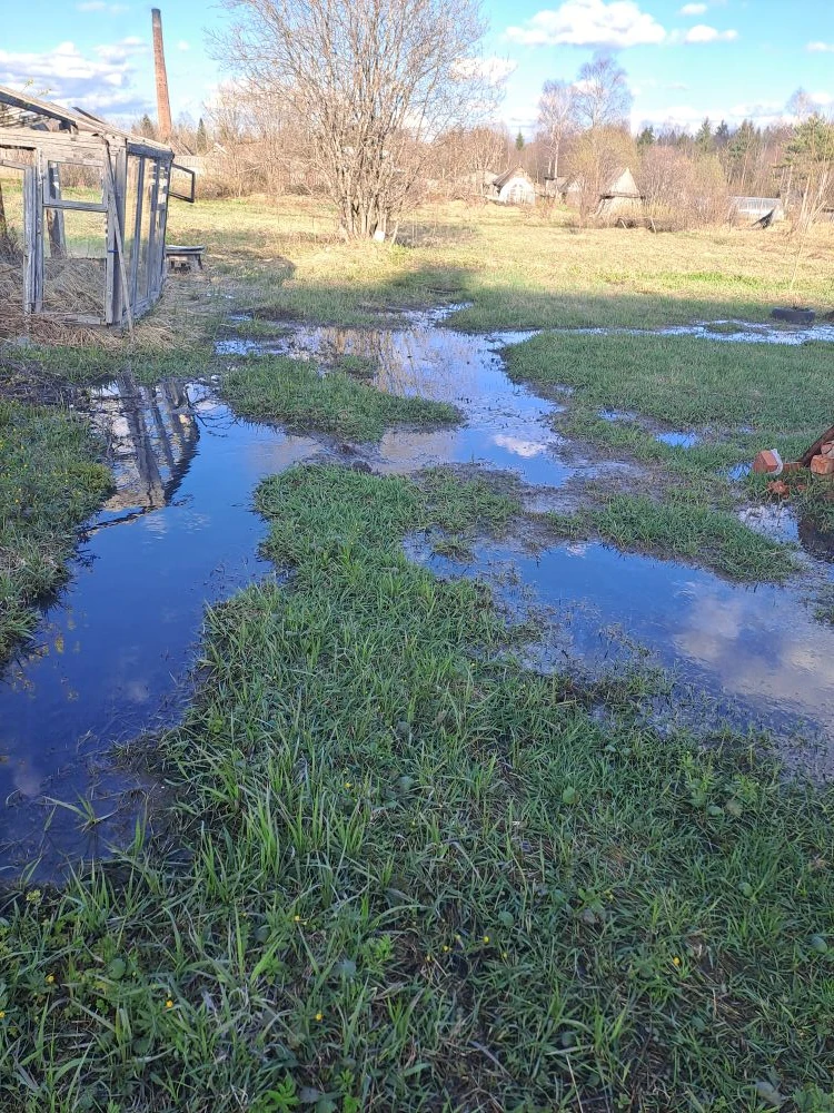 Здравствуйте. Очень просим за домом 2. ул. Новосёлов откачать воду в очистной канализации. Запах сто