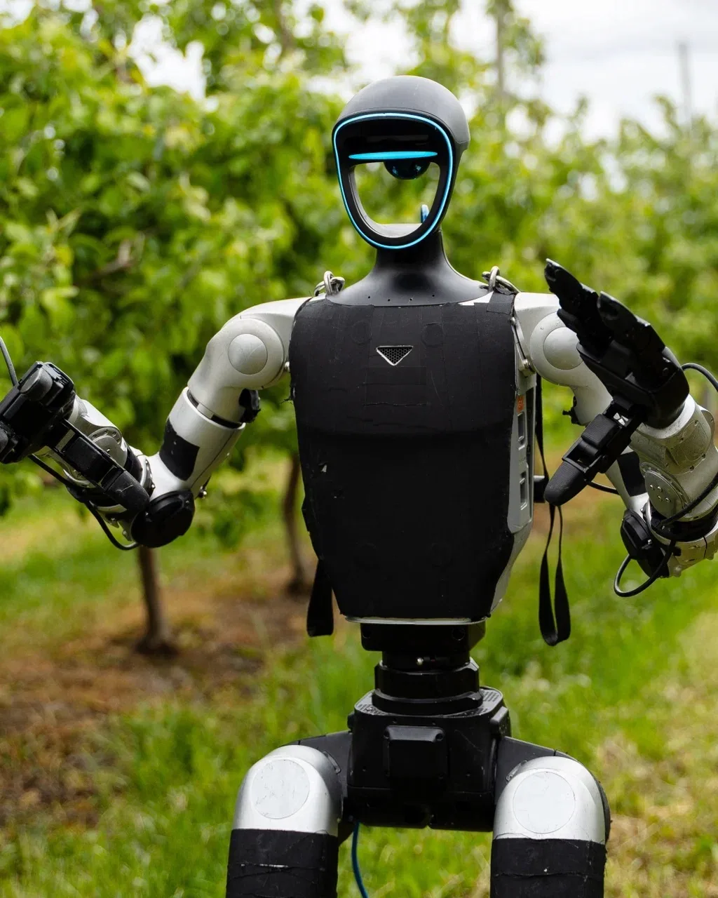 Робот-гуманоид в саду — уже не сон 🤖🍏

«Агроном-Сад» одним из первых в России протестировал робота