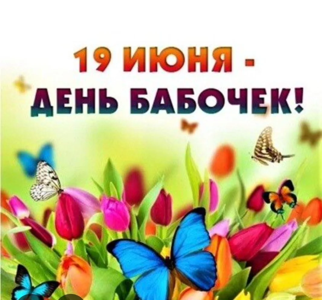 19 июня в нашем детском саду прошёл  День бабочек!

🦋В группе "Василёк" весь день ☀был посвящён баб
