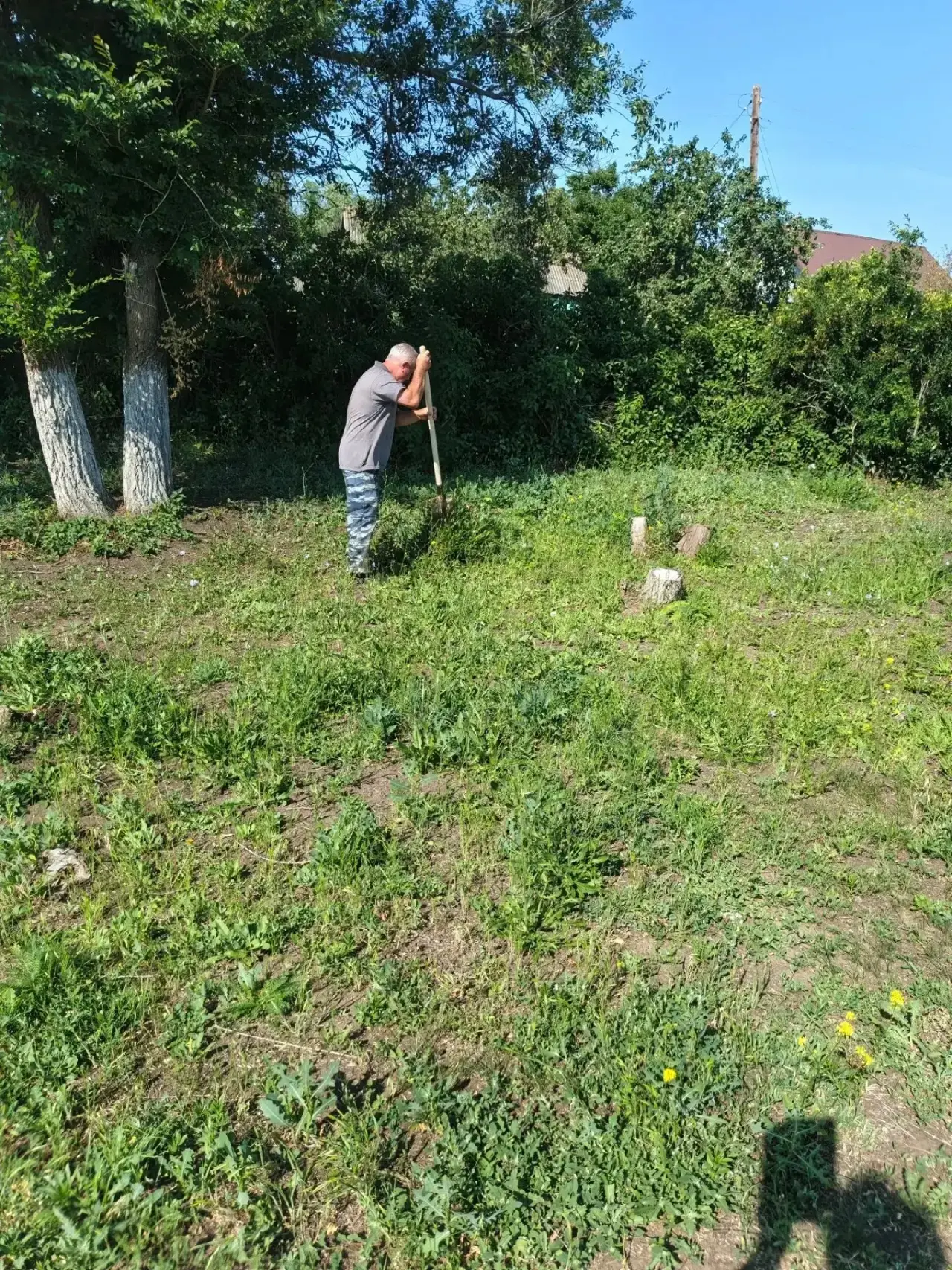 Порядок на территории: итоги санитарного дня в школе 🌳✨

Технический персонал и ученики, проходящие