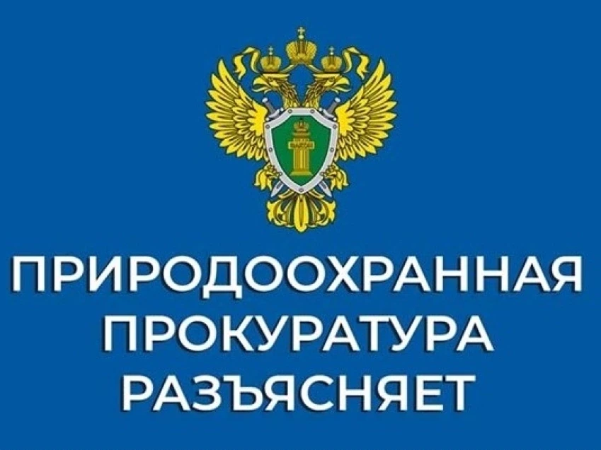 Забайкальская межрайонная природоохранная прокуратура разъясняет об ограничениях оборотоспособности 