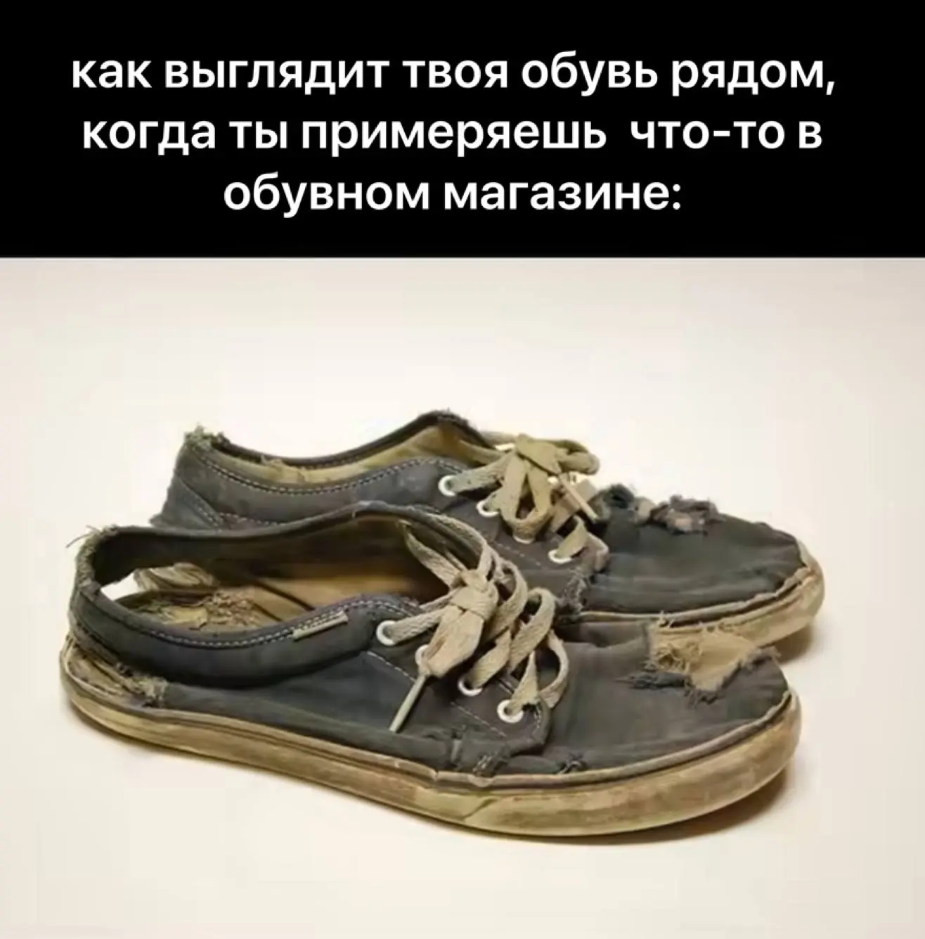 Приколы