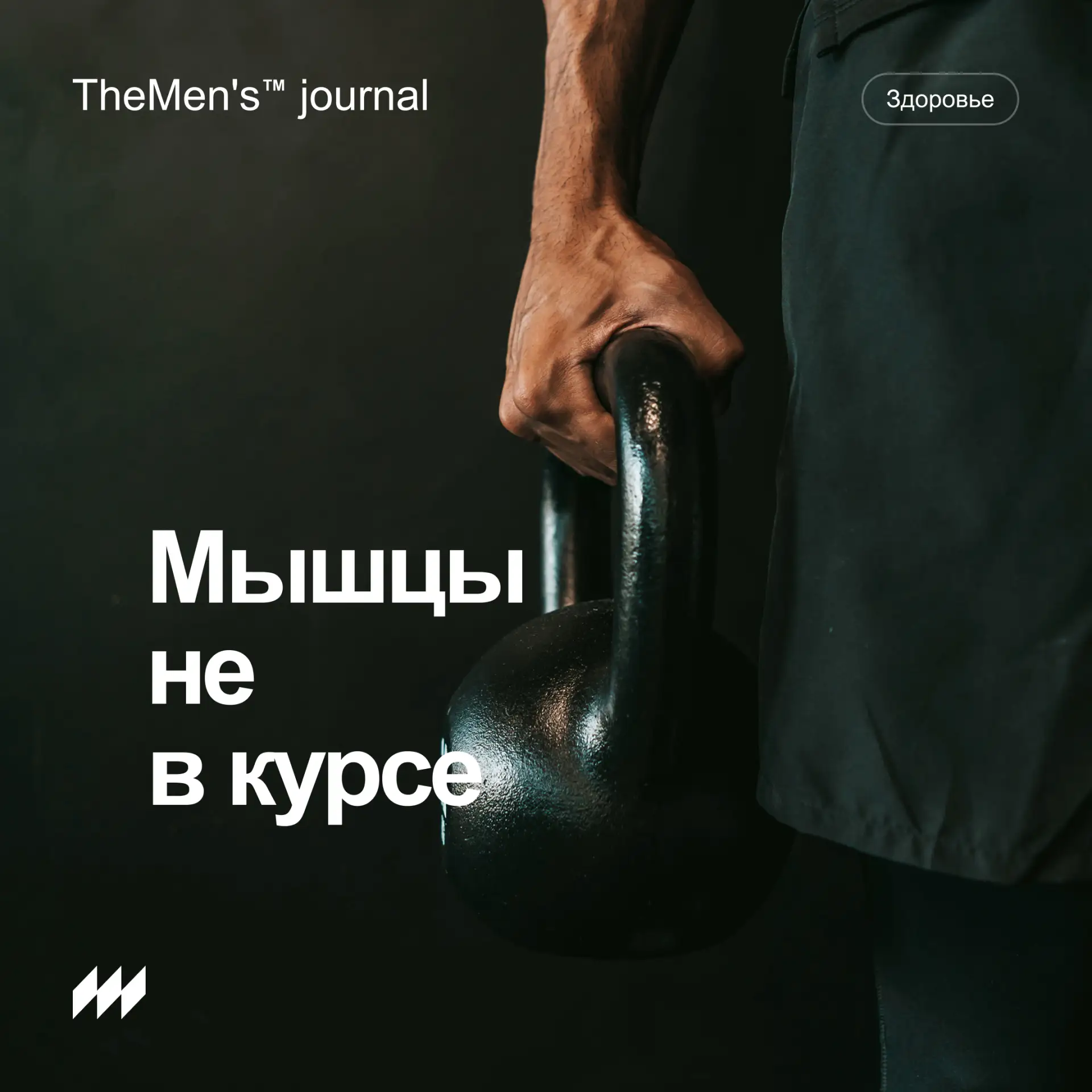 Почему стресс делает тебя слабее, даже если ты тренируешься

Ты всё делаешь правильно.
Зал есть.
Бел