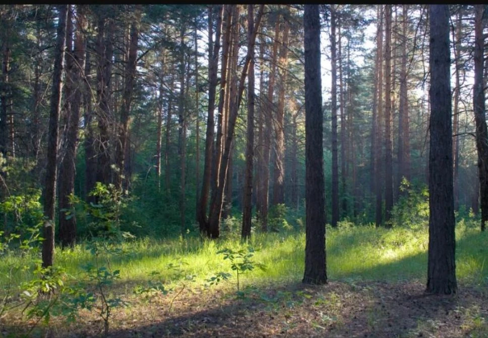 Спокойно! Лето ещё не закончилось! Впереди целый месяц 🌞

Если кажется, что июнь и июль пролетели г
