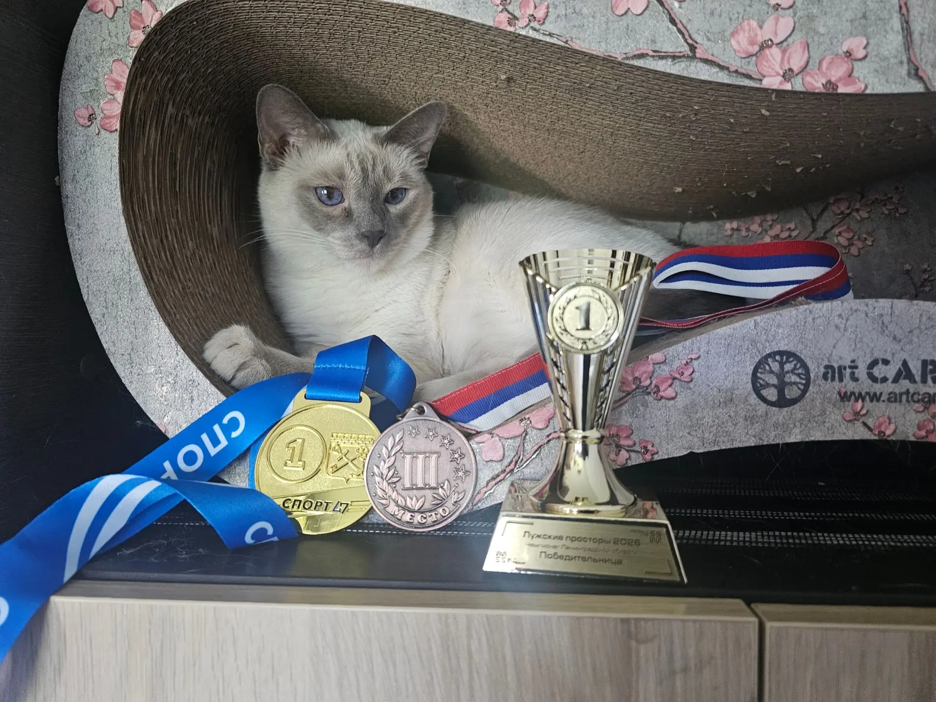 Леся опять железяк в дом натащила. 🙇‍♀ 
Скоро стена обрушится 😁