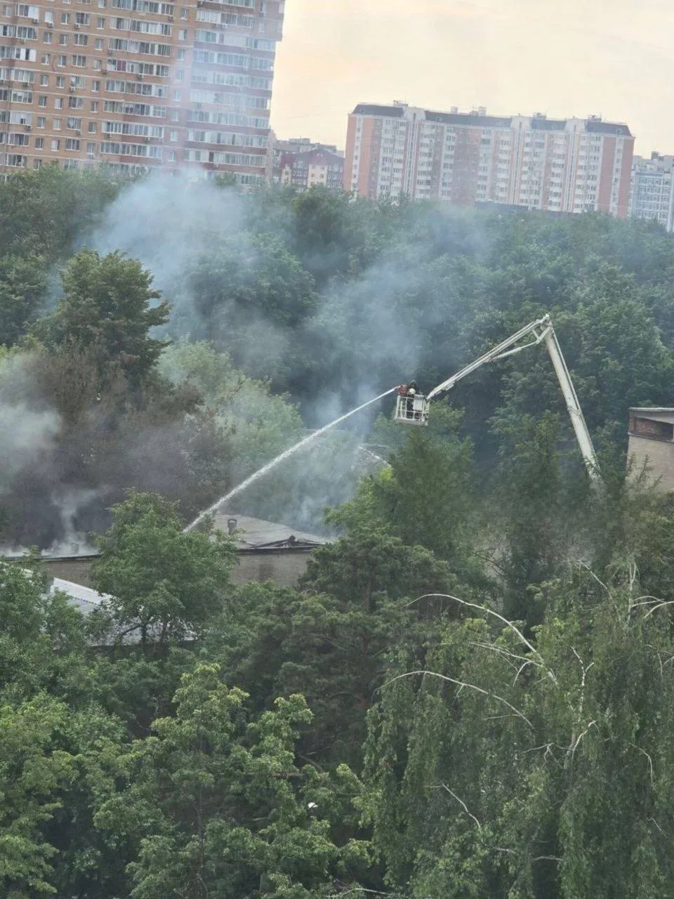 Пожар в Королёве на ул. Дзержинского локализован

Возгорание произошло 10 июня в неиспользуемом здан