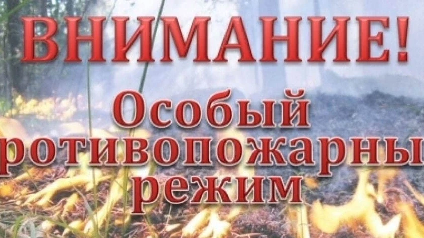 Уважаемые жители Среднеегорлыкского сельского поселения!

❗❗ НАПОМИНАЕМ❗❗

❗❗Постановлением Прав