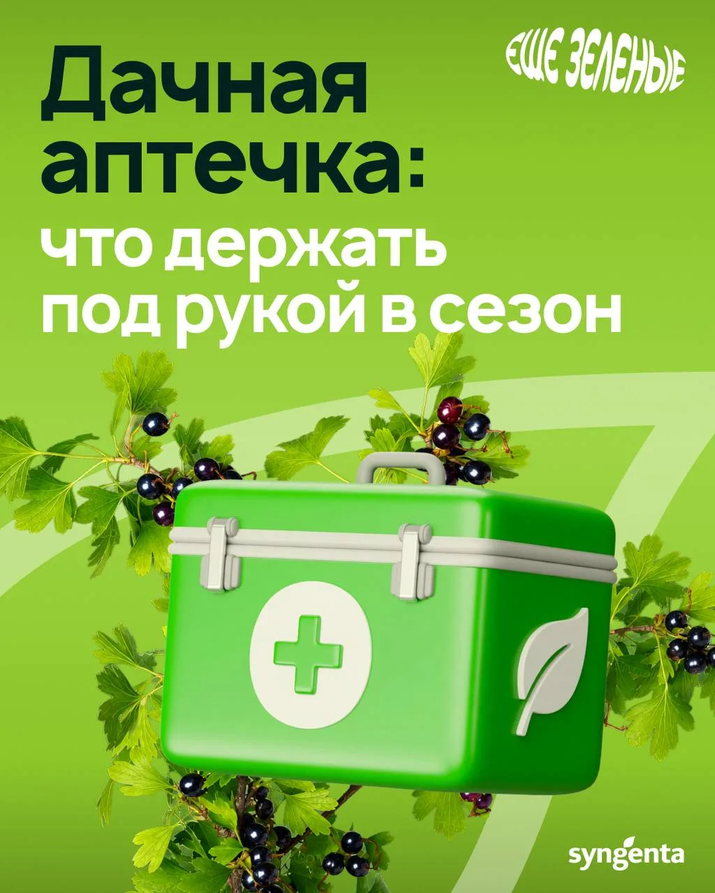 Дачная аптечка: что держать под рукой в сезон 🌿

На даче проблемы часто появляются внезапно: вчера 