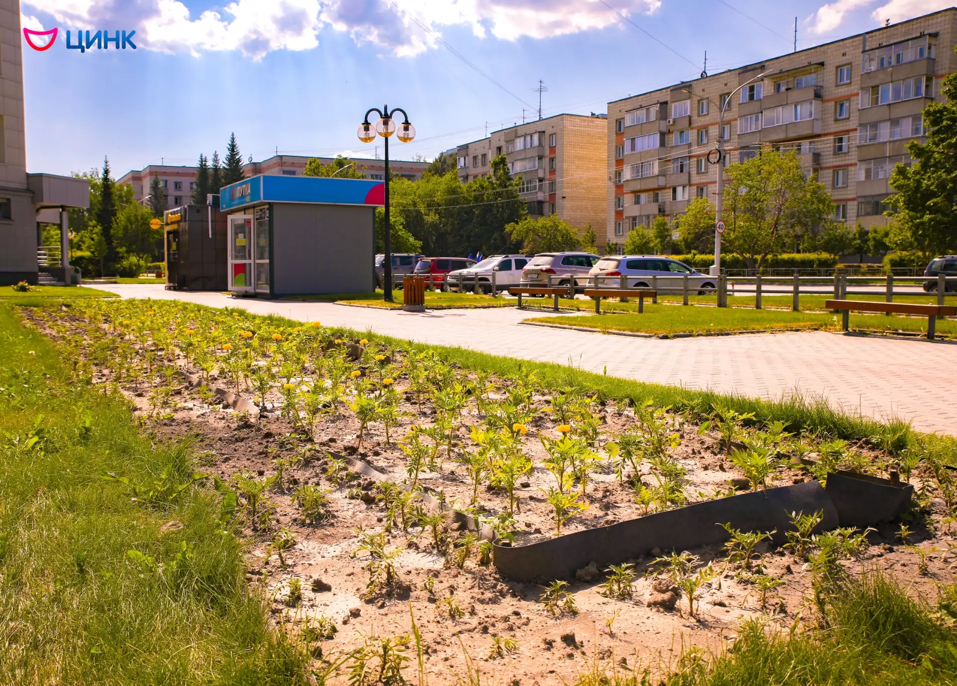 Кольцово | мкр.Весенний | Новосибирск🏡

Цветущий наукоград: в Кольцово высадили 8000 корней цветов 