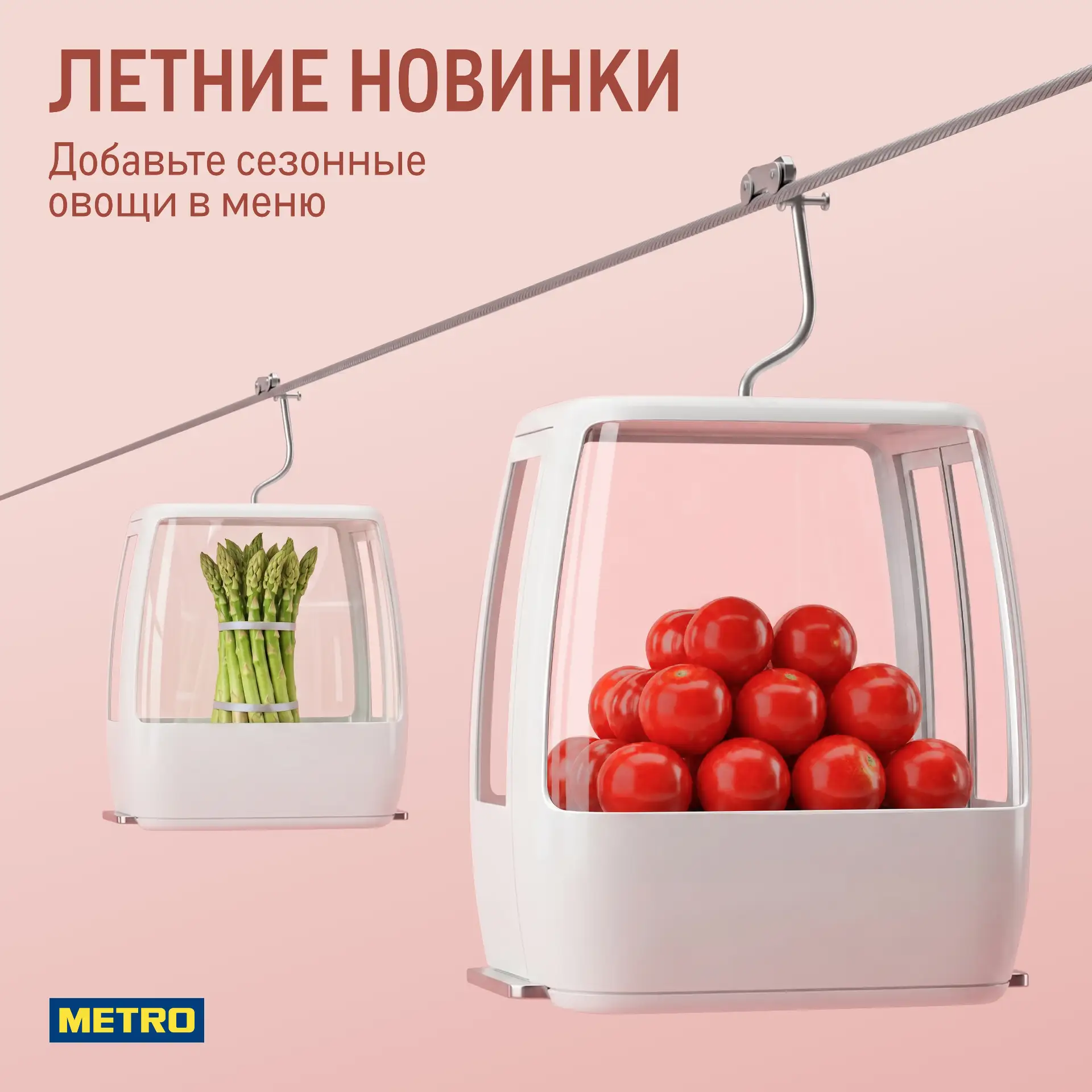 Современная гастрономия смещает фокус на сезонность продукта 🍅

Поэтому овощи становятся главными г