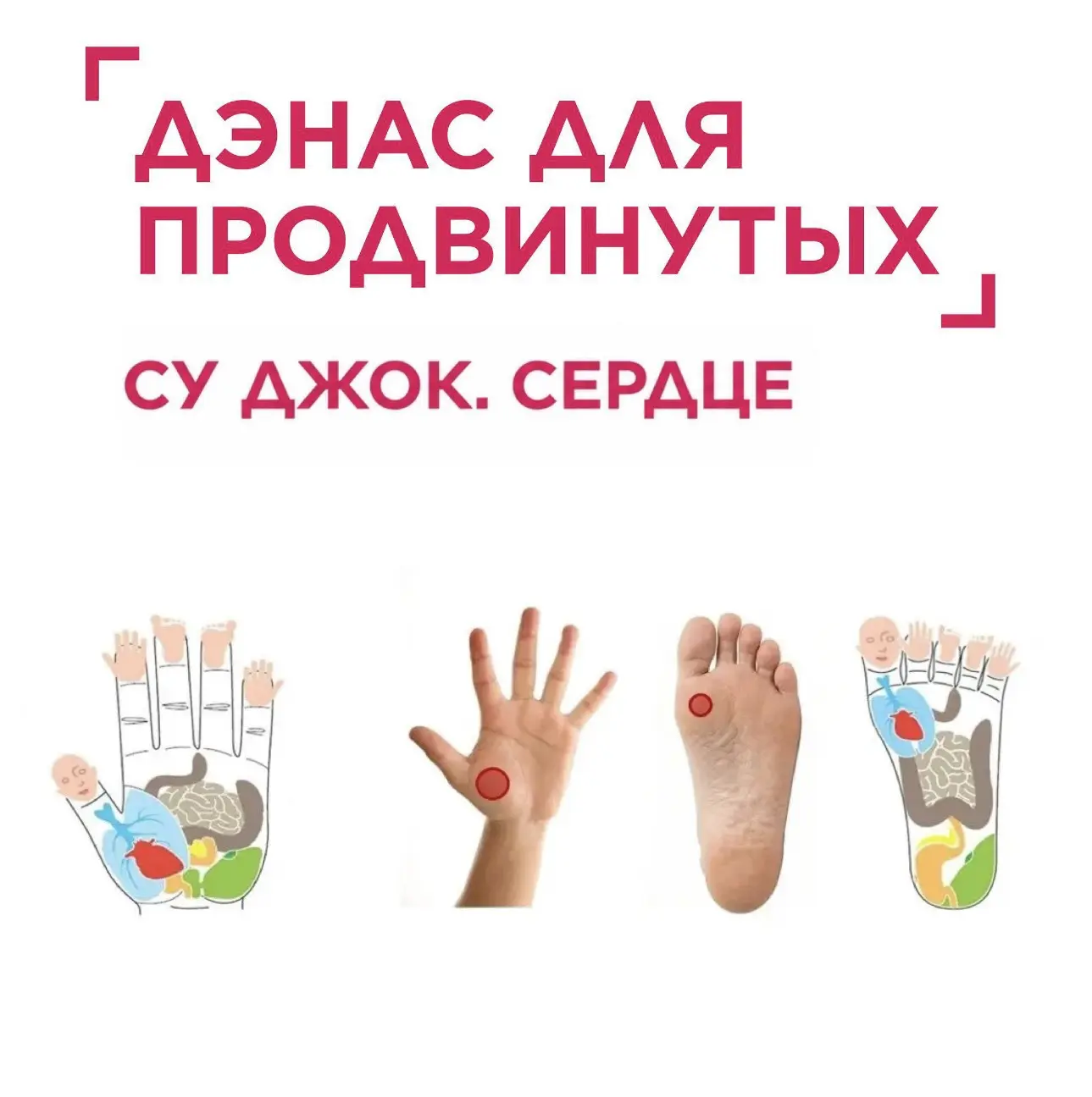 Рубрика: ДЭНАС для продвинутых
❤️ Су Джок. Сердце

🖐️ СУ – кисть, 🦶🏻ДЖОК – стопа (пер. с корейск.