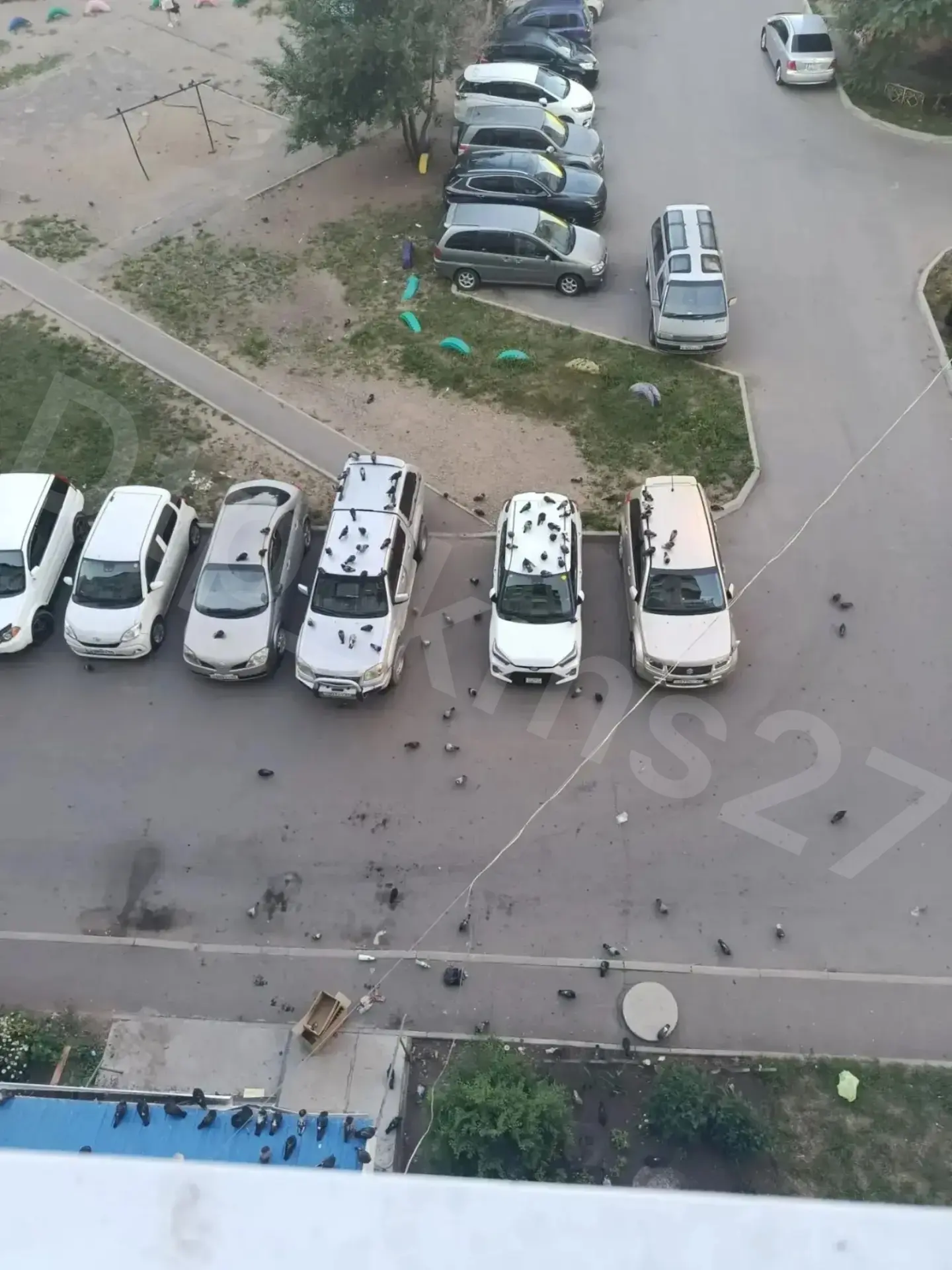 мк-он Парус. Птичек много не бывает. Лишь бы ЛКП не повредили.

📸Отправить фото или видео

🚓Подпис