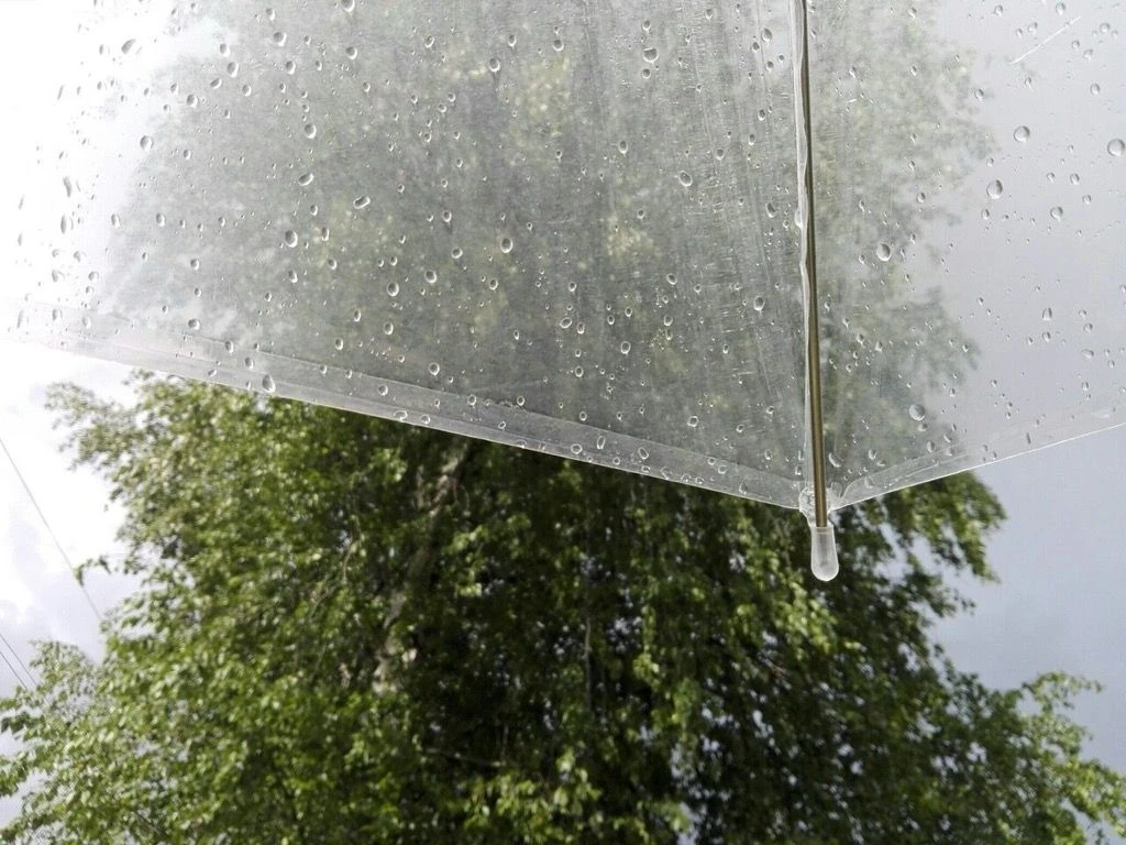🌡В Удмуртии 16 июня температура воздуха днём составит +21…+26°С.

🌧В течение суток будет облачно с