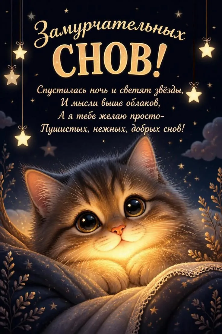 Доброй ночи 🌙

Выбрать открытку 💌
Мы в MAX