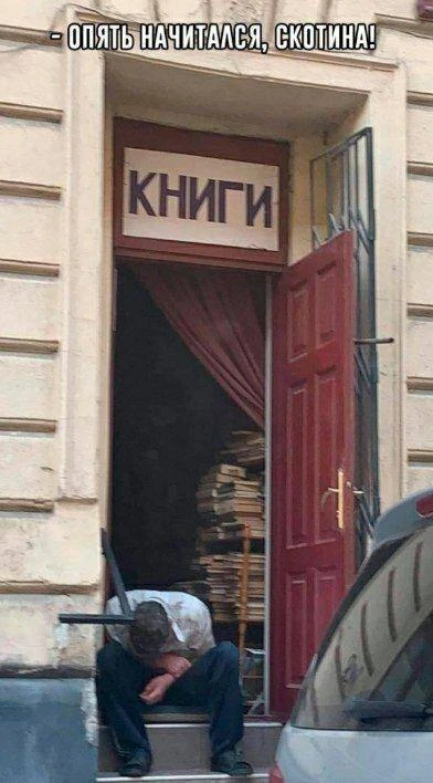 Книжная чистка: отбор по политическому признаку

По данным доклада Минцифры, в России могут изъять д