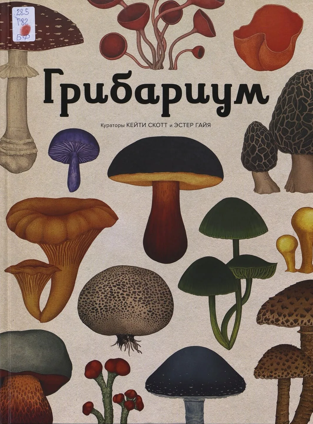 Грибариум

Открыв эту книгу, вы попадёте в своеобразный музей, где можно исследовать удивительное гр