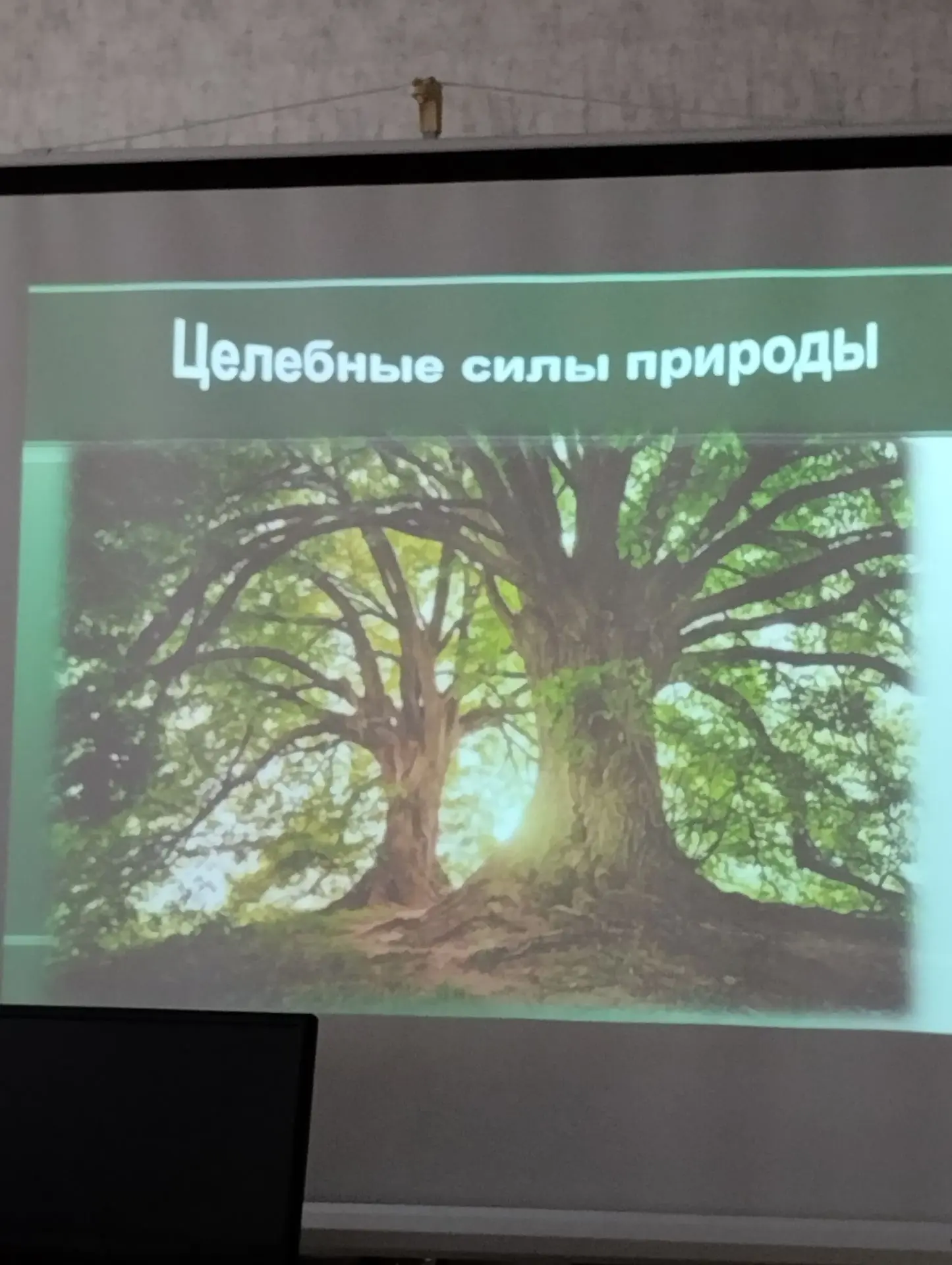 ШПВ «Социальный туризм»
Практика «Навстречу друг другу»
10.06.2026 слушатели Школы пожилого возраста