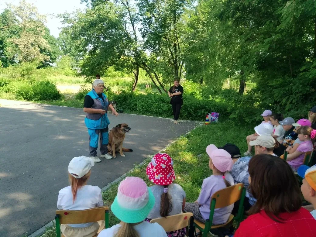 🐶Собаки - удивительные, преданные существа. Это не просто домашние животные, это настоящие члены се