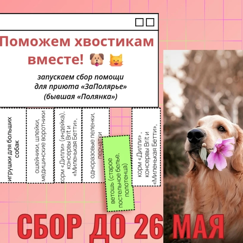 Друзья, наш марафон #ЛетоДобрыхДел продолжается! Спешите творить добро!
Поможем хвостикам вместе! 
М
