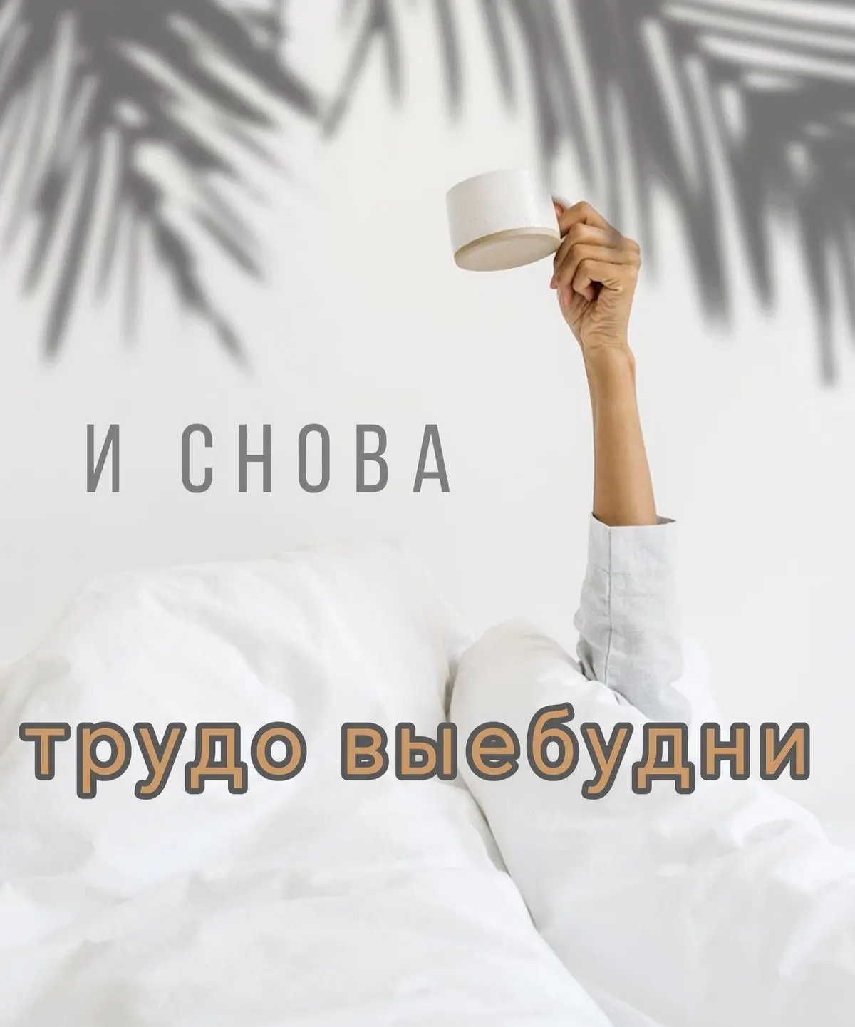 С началом новой недели 😉