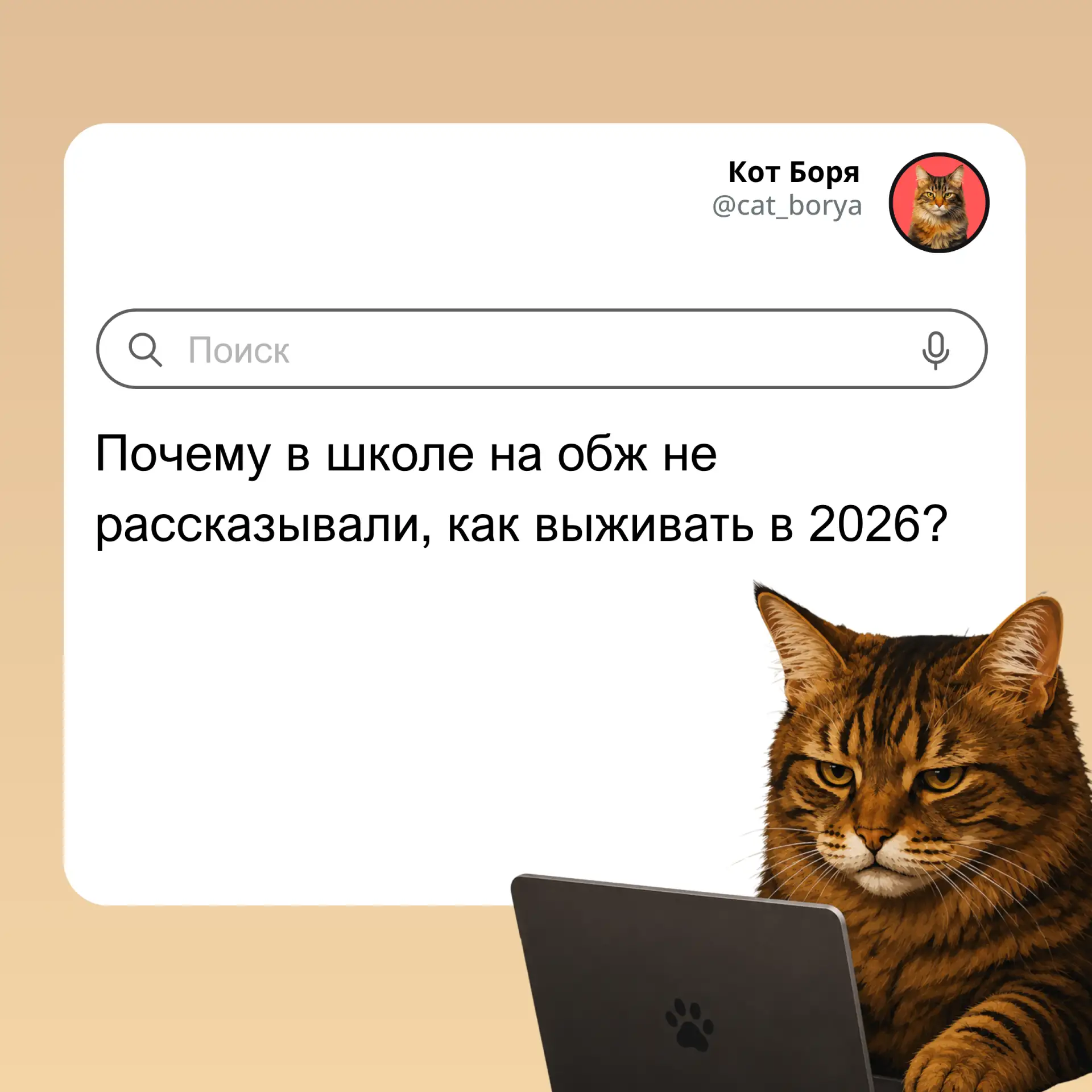 Кот Боря: Психолог с лапками