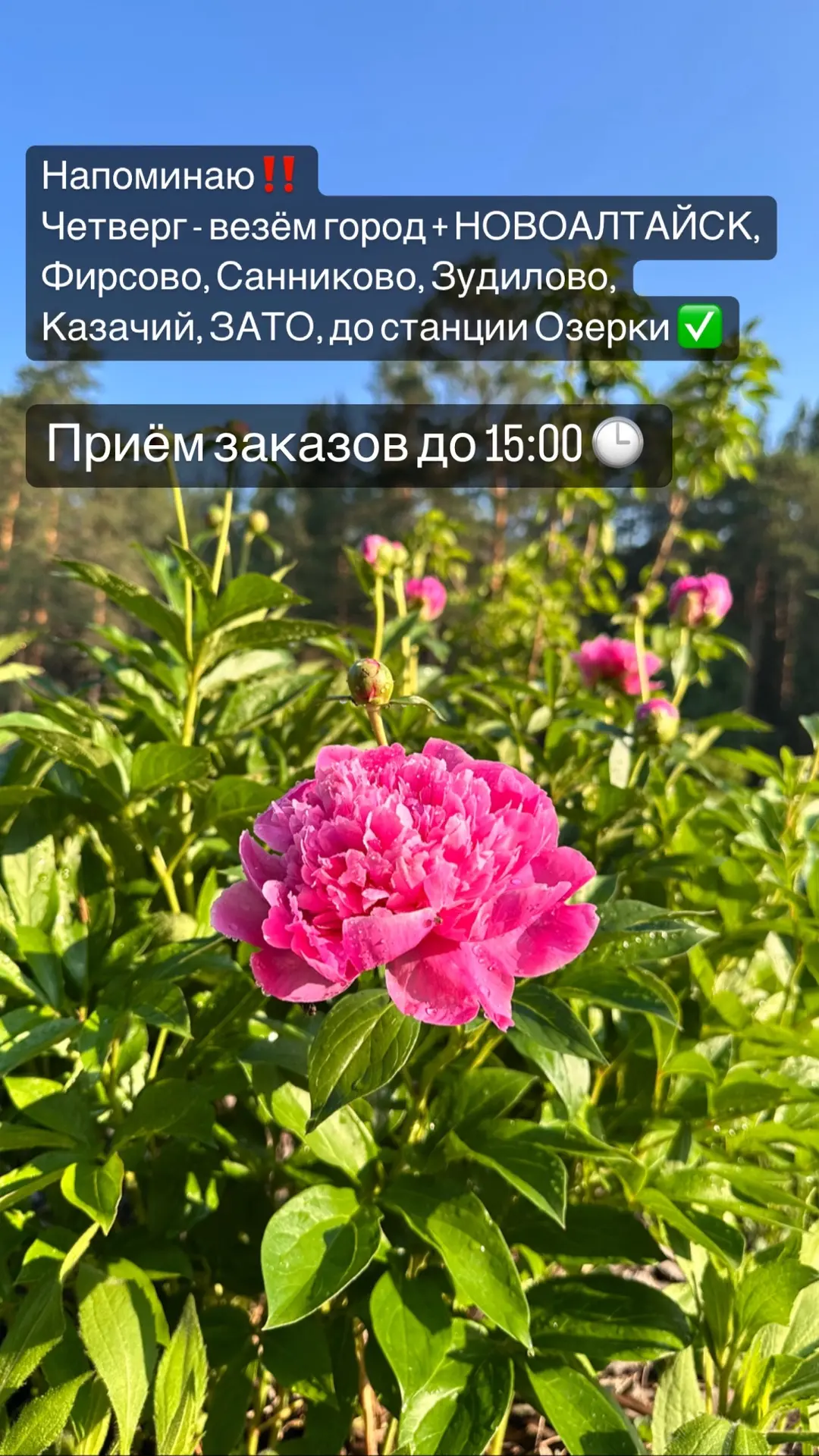 Не забудьте, что сегодня машина едет в сторону НОВОАЛТАЙСКА!!!
Следующая машина будет во вторник ‼️