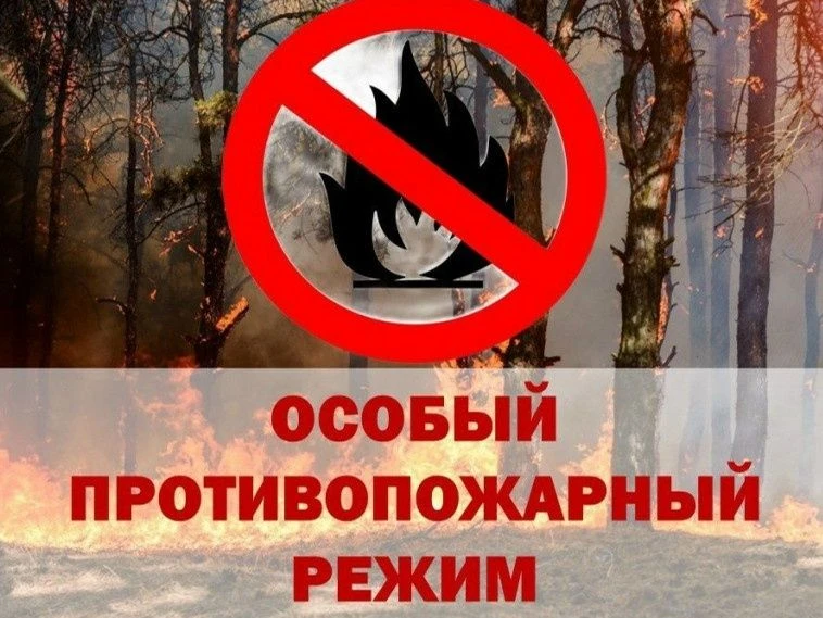 Объявлен особый противопожарный режим в лесном фонде на территории Республики Башкортостан с 13 июня