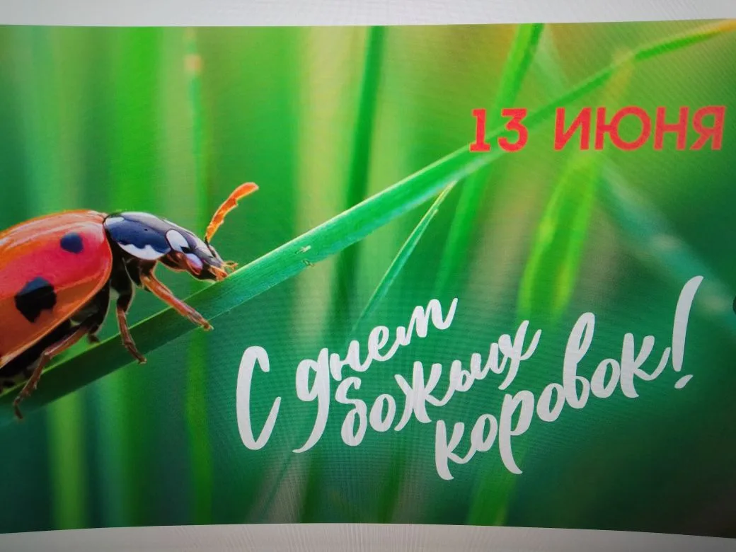 Привет, друзья! 13 июня мы отмечаем День божьей коровки - прекрасный праздник, который напоминаем на