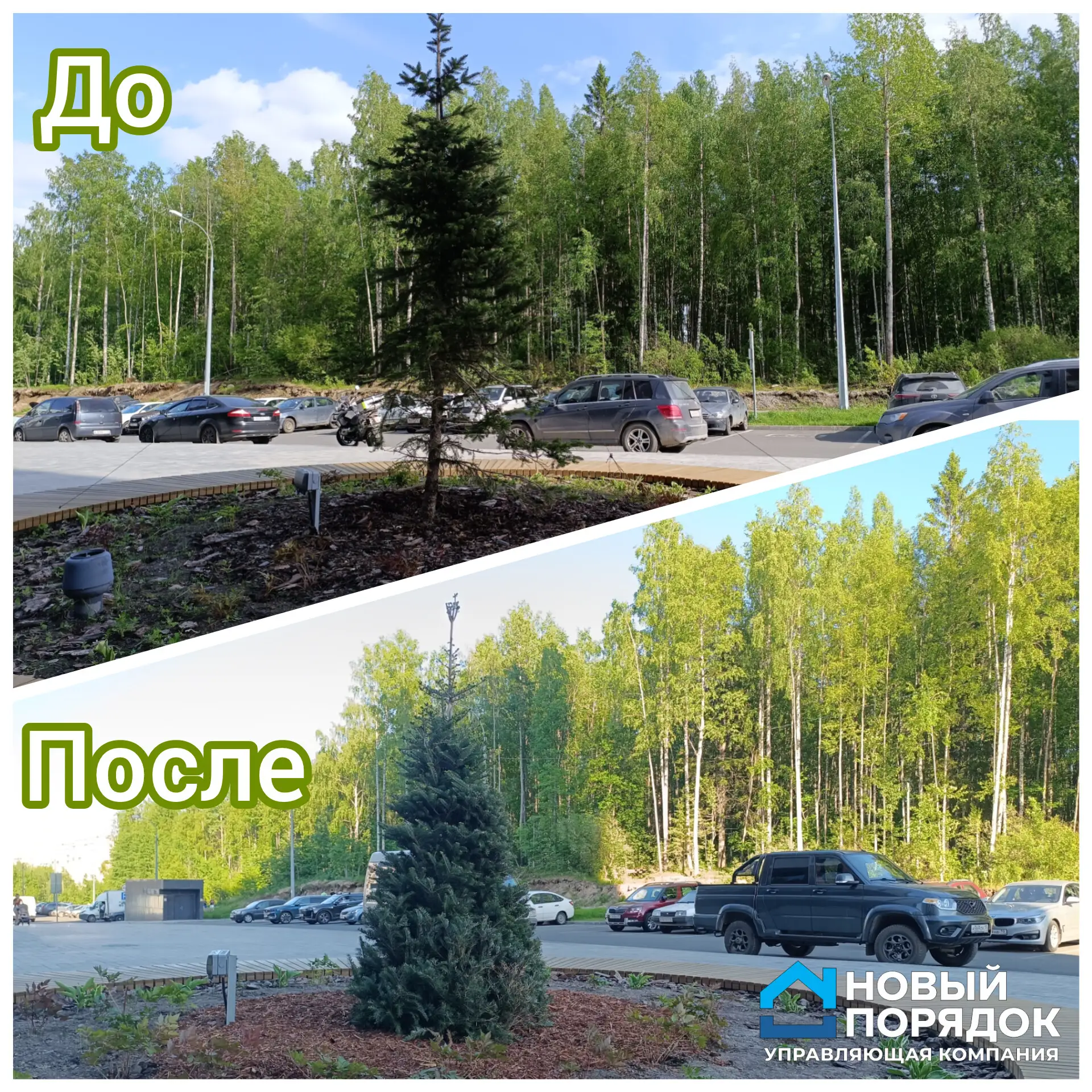 🌳КРАСИВЫЙ ДВОР🌳

Уважаемые жители,

Мы продолжаем работу по озеленению и благоустройству придомовы
